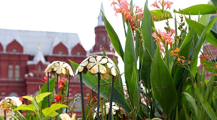 Сады, Москва, ландшафтный дизайн, Цветочный джем