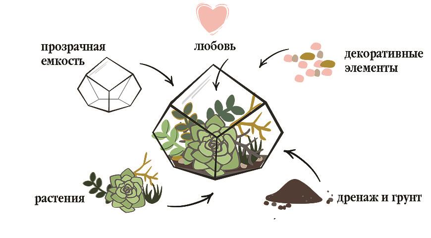 Ингредиенты для открытого флорариума