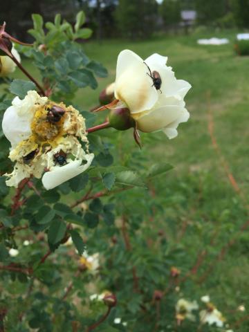 Вопрос эксперту 