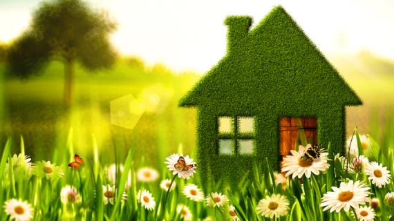 5 способов сделать свой дом экологичнее