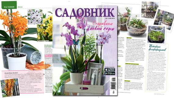 Январский журнал Садовник № 1 (155) 2019