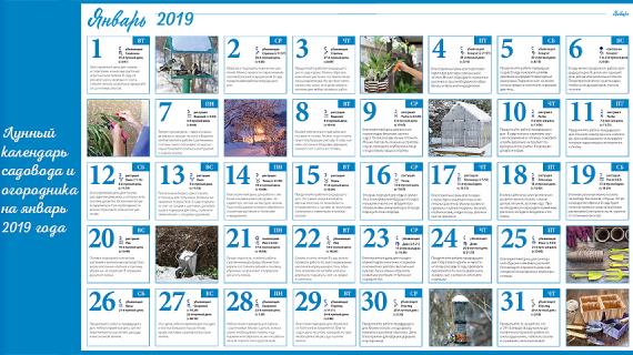 Лунный посевной календарь на январь 2019 года