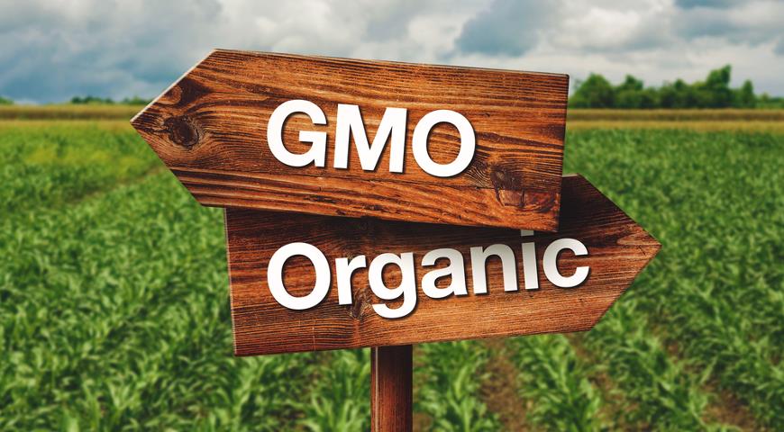 ГМО, растения, природа