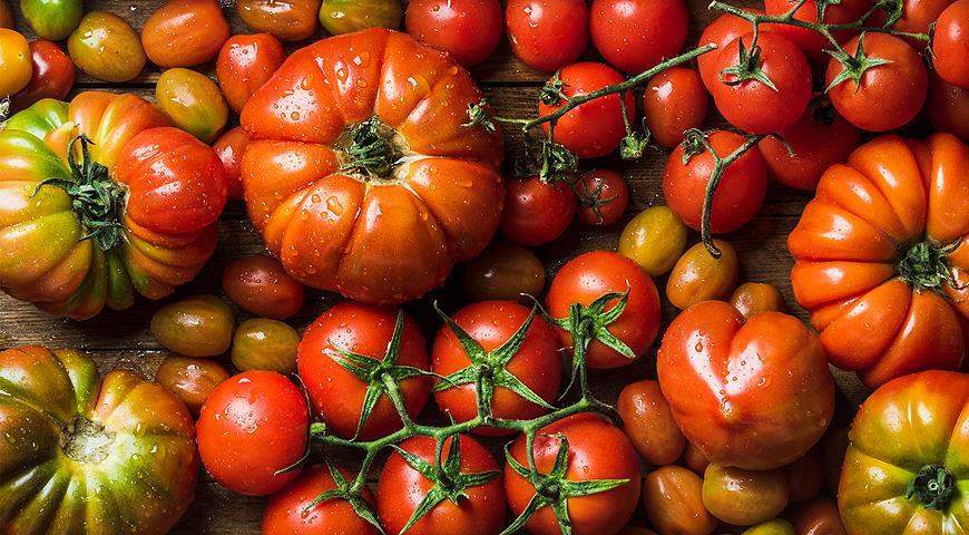 томаты, урожай, овощи