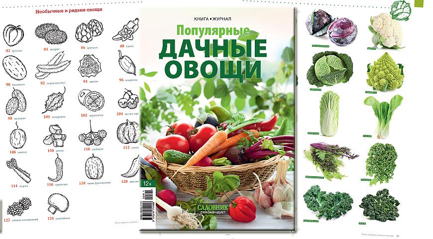 Книга-журнал Популярные дачные овощи