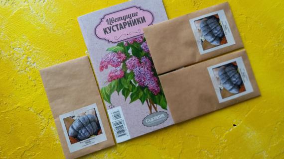 Разгадана шарада. Кому награда?