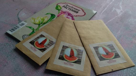 Разгадана шарада. Кому уйдет награда?