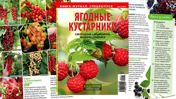 Спецвыпуск Ягодные кyстарники: смородина, крыжовник, малина и ежевика