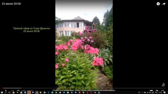 Прямой эфир из Сада Дракона 22 июля 2018г