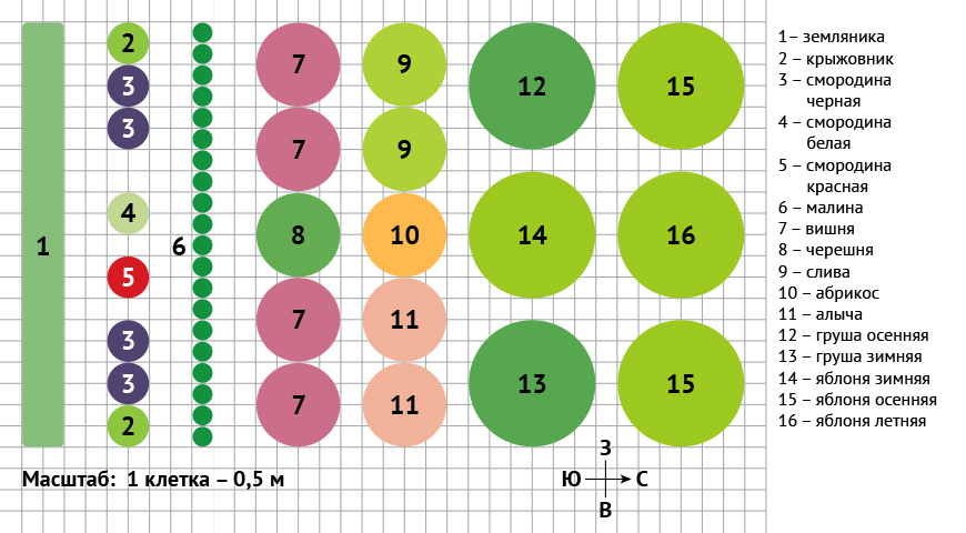 Схема Посадки Плодовых Деревьев Фото