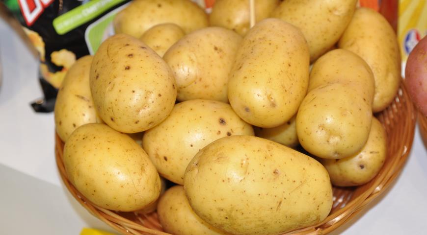 Желтые сорта картофеля: список лучших сортов, описание, фото, отзывы