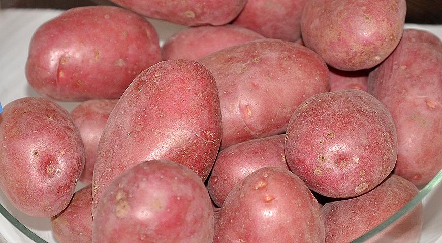 сорта красной картошки