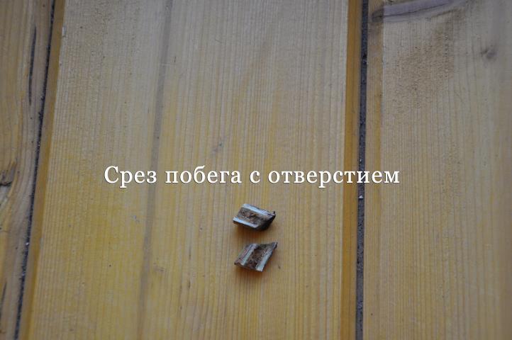 Вопрос эксперту Вопрос эксперту 5