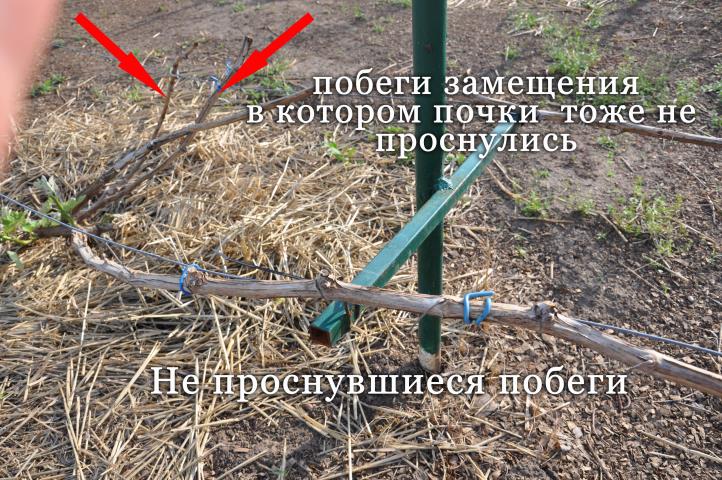 Вопрос эксперту Вопрос эксперту 8