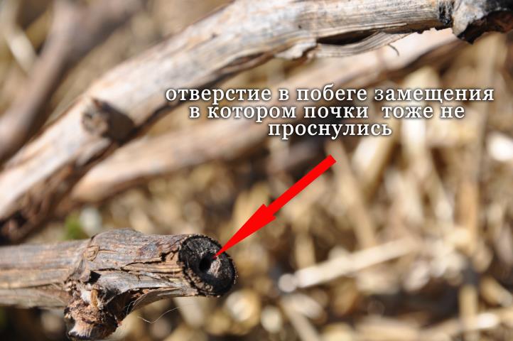 Вопрос эксперту Вопрос эксперту 6