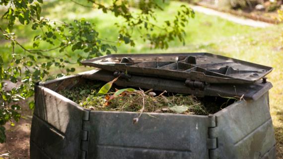 В США из умерших людей будут делать компост для удобрения сада