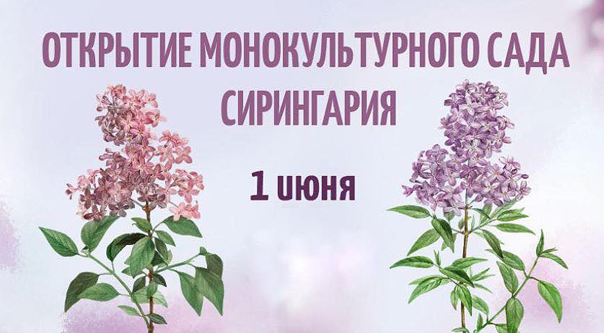 1 июня 2019 в Подмосковье состоится открытие нового сирингария