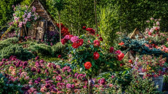 Юдашкин, Зайцев, Ахмадуллина и Гуляев создадут сады на Moscow Flower Show 2019