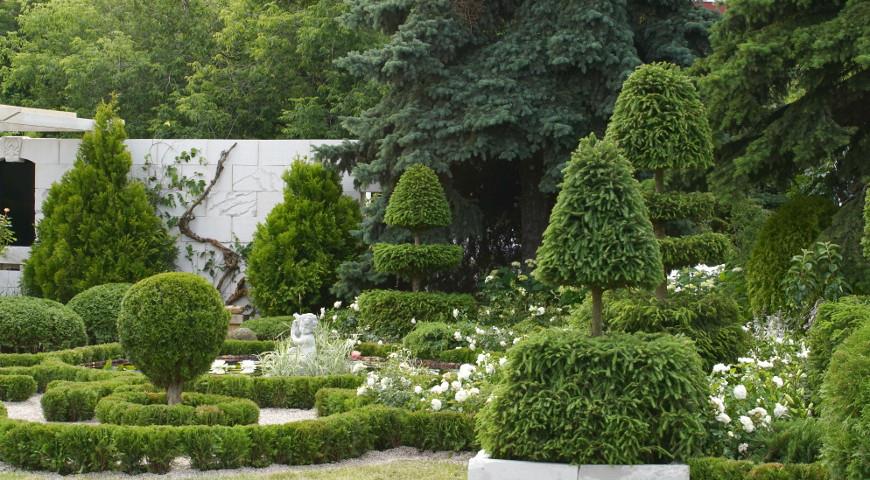 Конкурс топиарного искусства на Moscow Flower Show