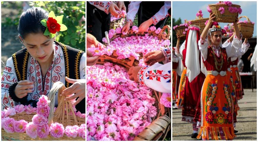 Болгарию называют страной роз. Каждую весну здесь проходят национальные праздники в честь сбора лепестков.