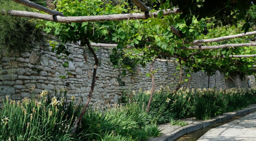 Сад Тихое гнездо, Балчик, Болгария, виноград, дизайн, вода, лианы