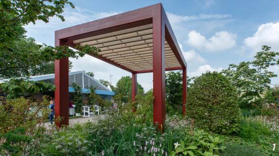 Итоги цветочного шоу: Chelsea Flower Show 2019
