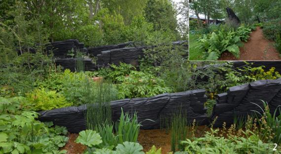 Пленники газона: почему мозг не любит природный дизайн и требует контроля