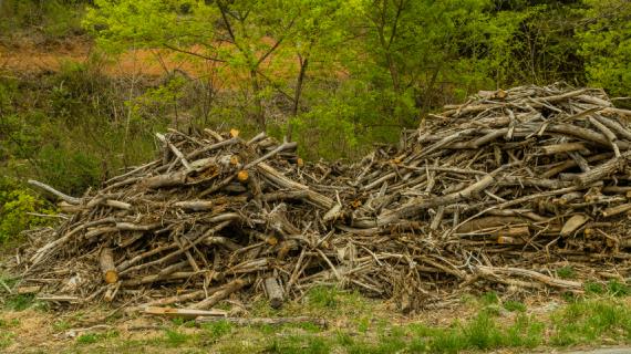 Садовый измельчитель: зачем он нужен