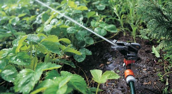 Как бороться с подтоплениями на участке