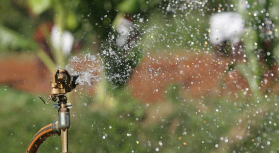 Автоматическая подача воды для полива