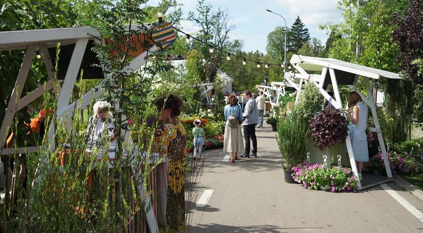 Фестиваль в Одинцово Цвет лета