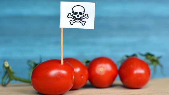 Сколько нитратов в овощах и фруктах: личный опыт применения нитратомера