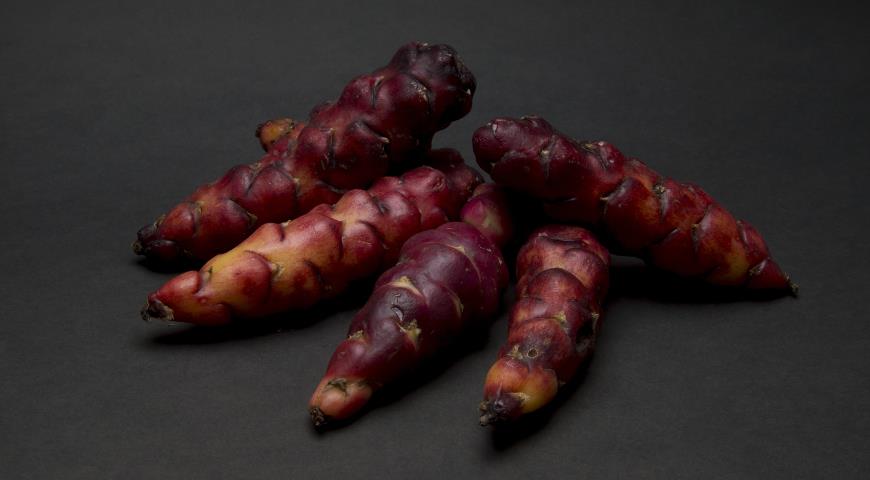 Кислица клубненосная &#8212; необычный овощ индейцев: как вырастить диковинный клубни в средней полосе?