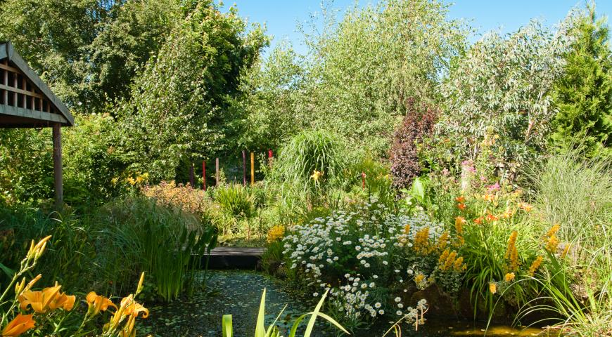 Сад в природном стиле, натургарден, дизайн сада, водоем, пруд, лилейник, цветник