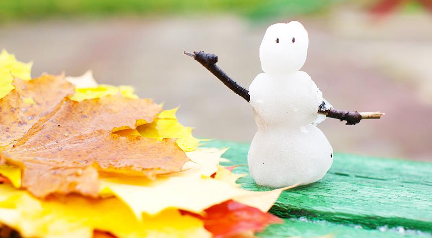 autumn and the first snow