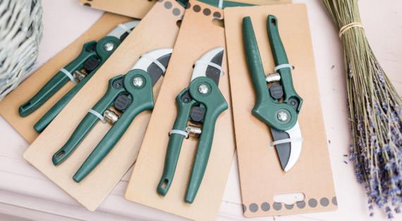 Как выбрать секатор и где его покупать