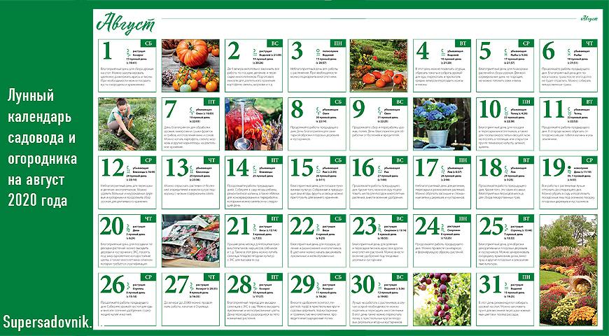 Лунный посевной календарь садовода и огородника на август 2020 года