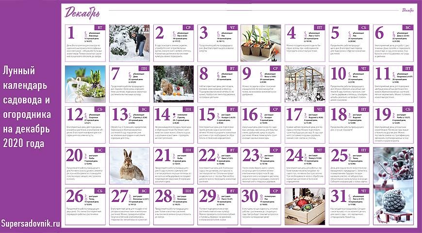Календарь садовода и огородника на декабрь 2020