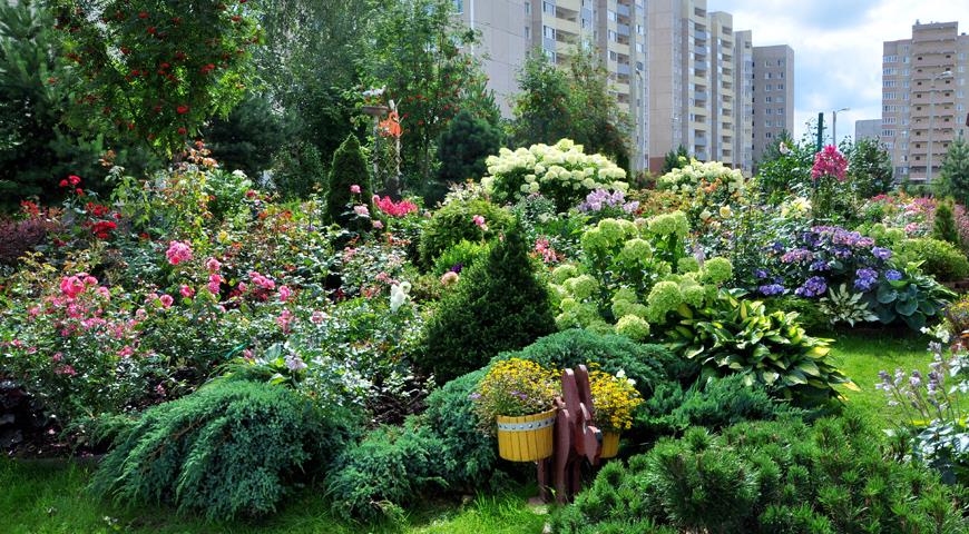 Сады России: Сад в городе