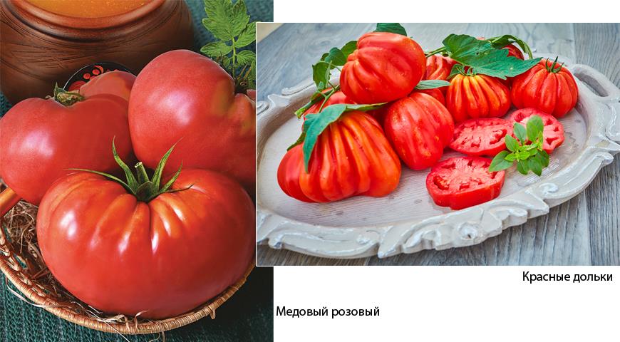 7 мини-овощей, которые по вкусу даже лучше полноразмерных родственников