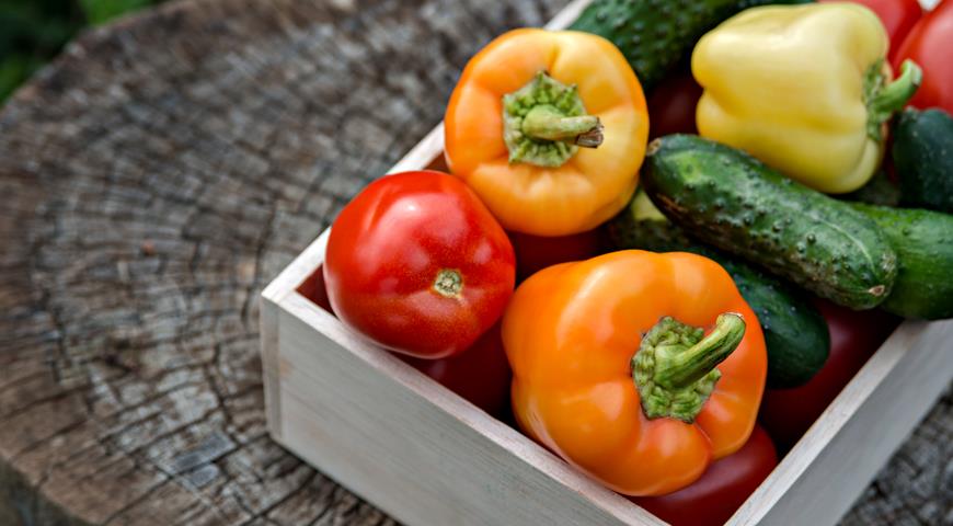 Современные овощные тенденции, каким сортам овощей отдать предпочтение