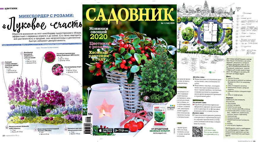 Журнал Садовник № 1 (164) 2020