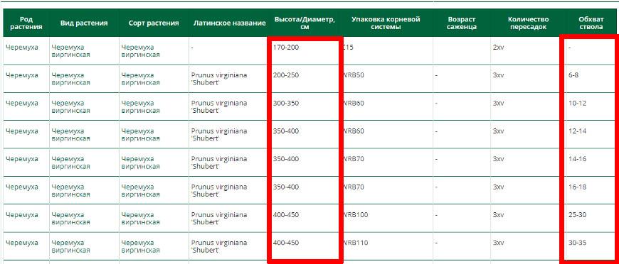 Как считается диаметр многоствольного дерева - питомник46.рф