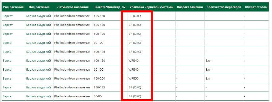 Саженцы упаковка корневой системы