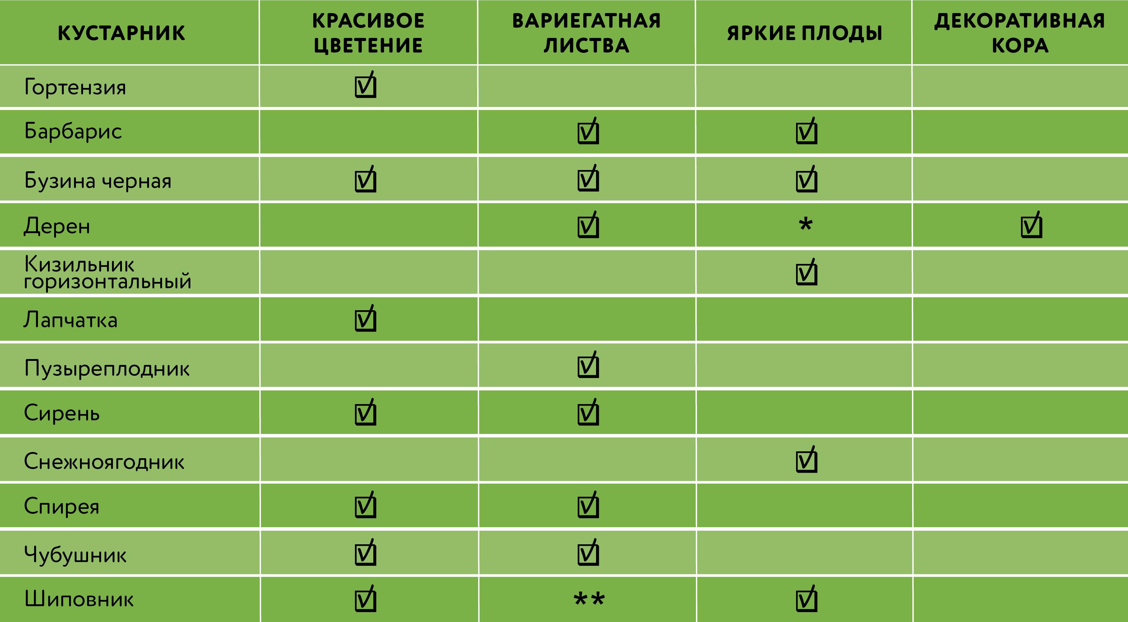 сводная таблица декоративности кустарников по цветению, вариегатной листве, декоративной коре и ярким плодам