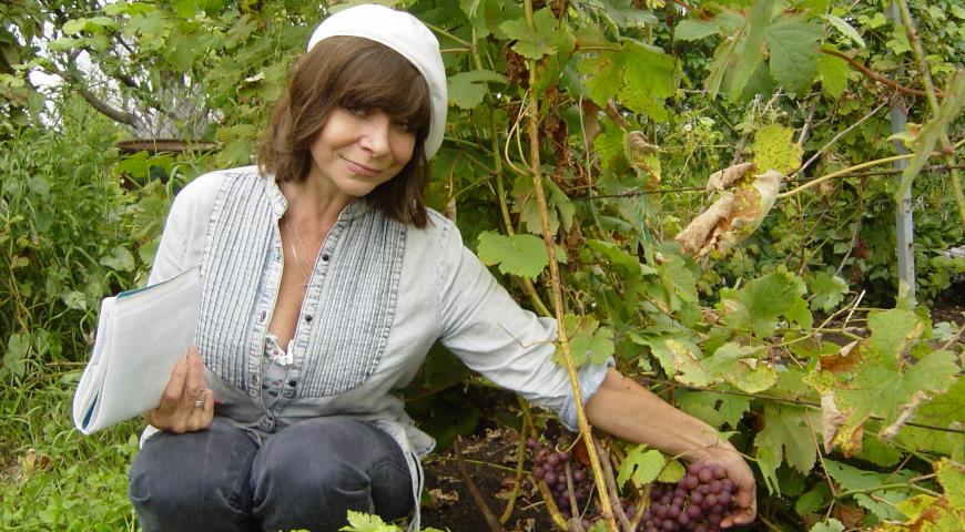 Олёна Непомнящая, виноград, эксперт