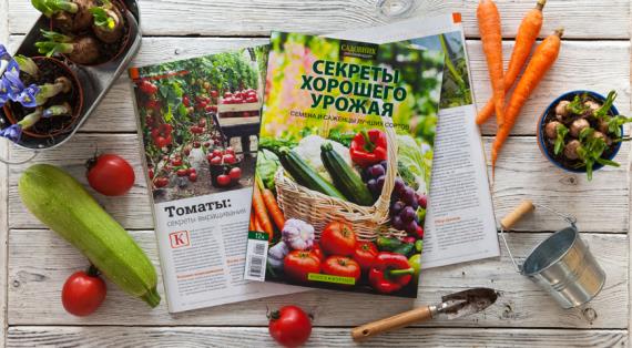 Книга-журнал январь (41) 2020 Секреты хорошего урожая. Семена и саженцы лучших сортов