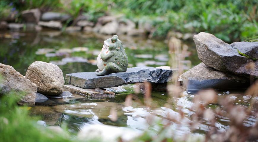 Скульптура лягушки и камни в пруду