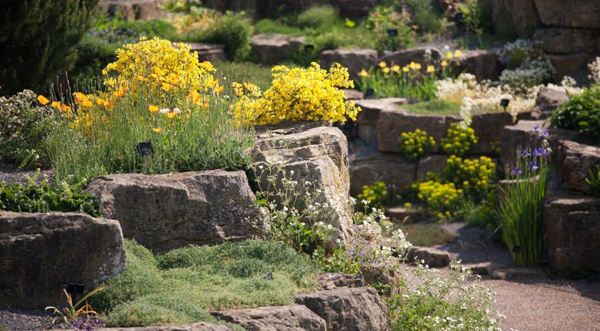 Сад Kew Gardens