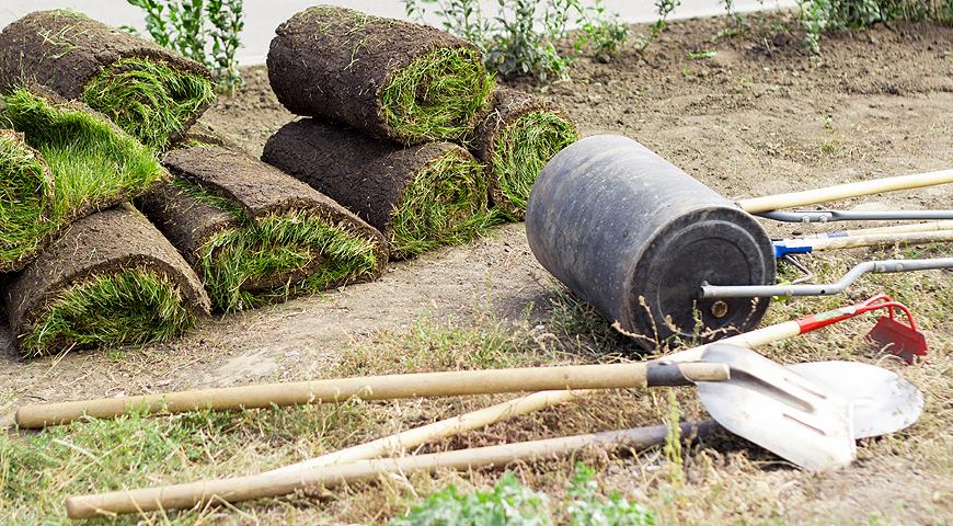 Какой рулонный газон лучше выбрать для дачи: узнайте важные нюансы выбора, прежде чем купить!